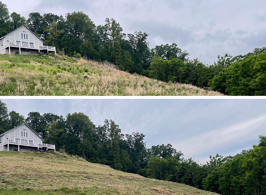 Before and after photos of a field that was bush hogged