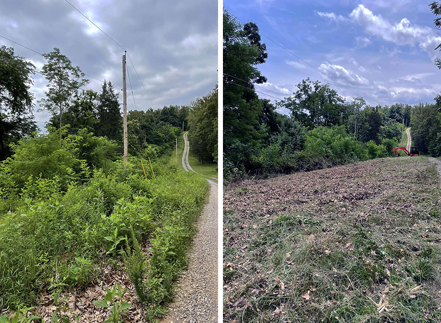Before and after photos of a power company's right of way that was cleared of brush